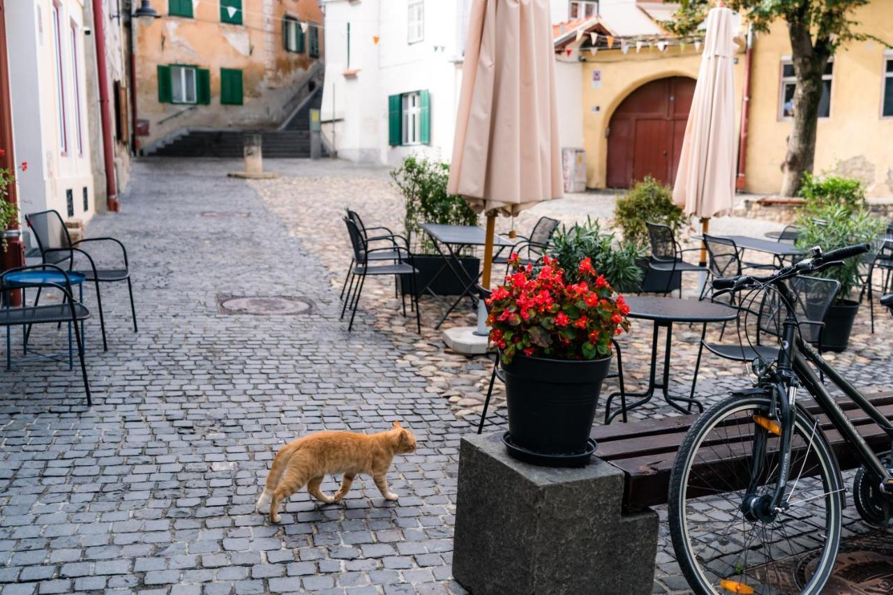 Charming Studio Ideal For Getaways Or Workations In Sibiu'S Medieval City Center Exterior foto